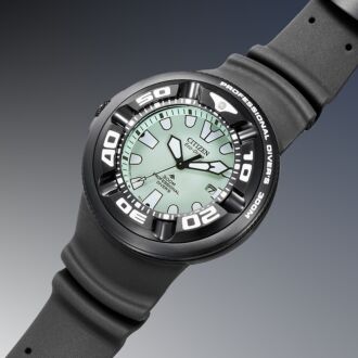 Citizen Eco-Drive Promaster Luminous Dial Professional Diver Watch BJ8055-04X