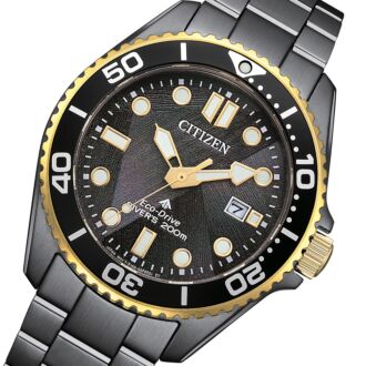 Citizen Eco-Drive LIGHT in BLACK 50th Anniversary Edition  Watch BN0264-53E