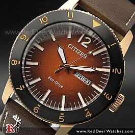 BUY Citizen ECO-DRIVE Vintage Throwback Rose Gold Leather Strap
