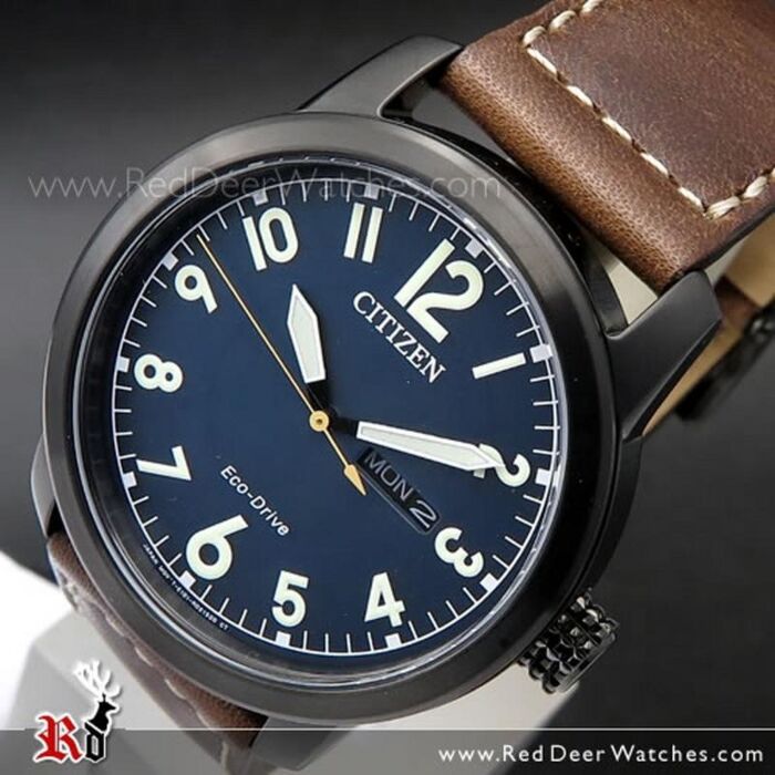 Citizen Eco-Drive Brown Leather Blue Dial Day Date 100M Watch