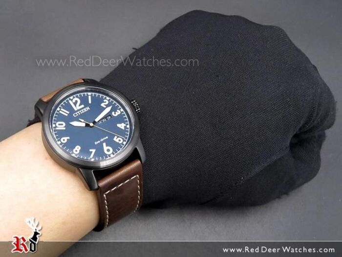 Citizen Eco-Drive Brown Leather Blue Dial Day Date 100M Watch