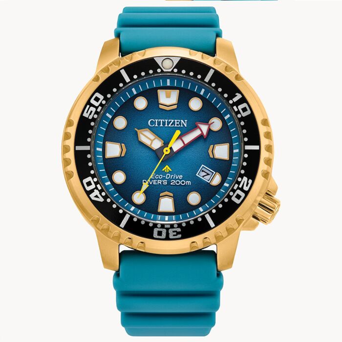 BUY Citizen Promaster Eco-Drive Blue Dial Diver Watch BN0162-02X