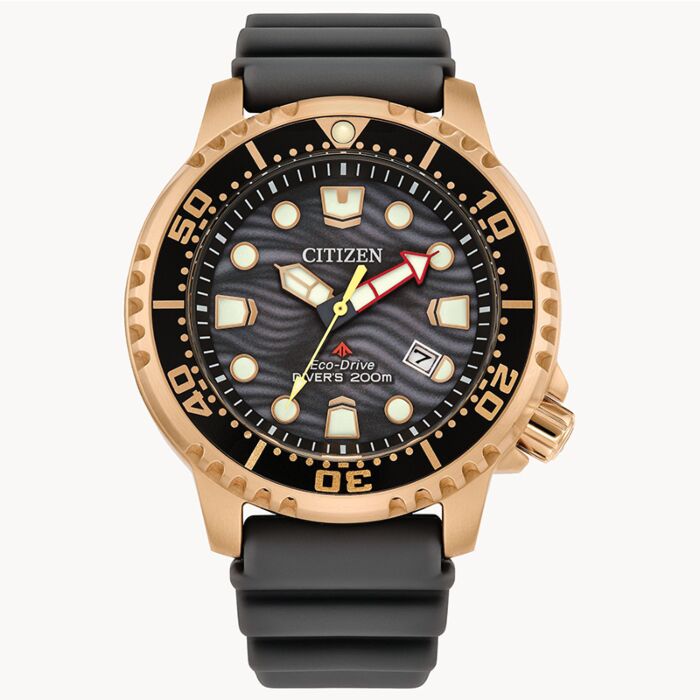 BUY Citizen Promaster Eco-Drive Gray Dial Diver Watch BN0163-00H