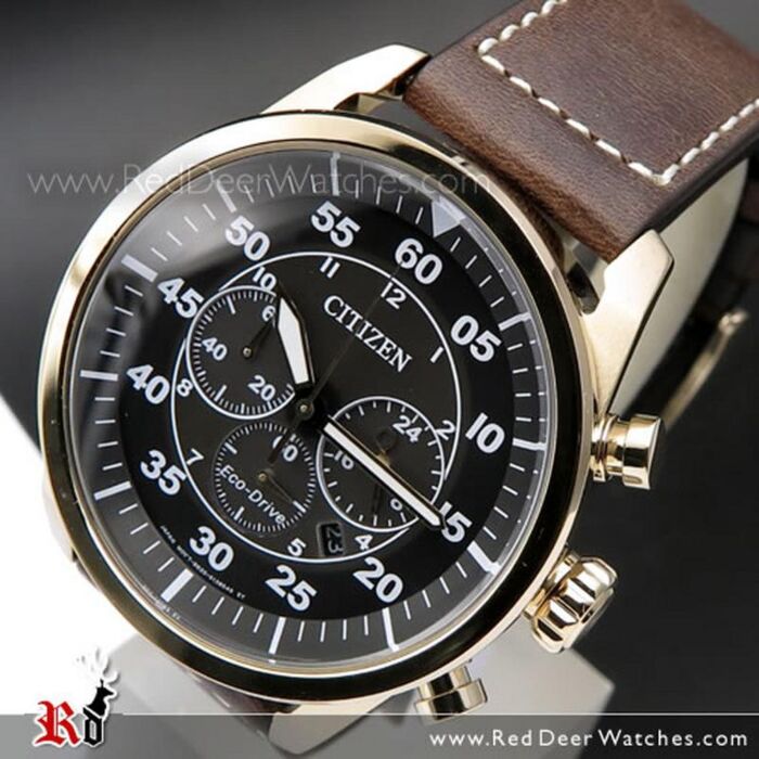 BUY Citizen Eco-Drive Aviator Chronograph 100m Leather Strap Watch