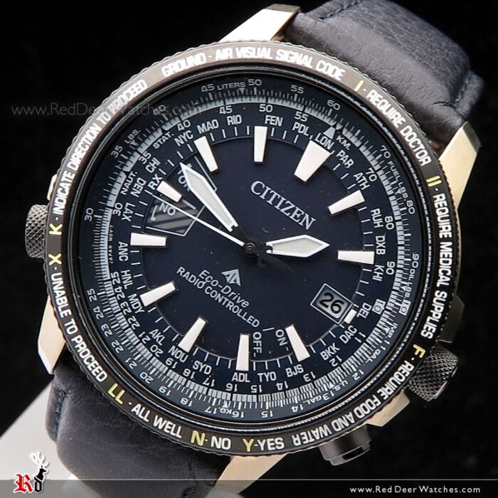 Citizen eco drive flight watch online